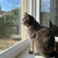 Photo de profil de Pierre V.