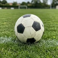 Photo de profil de Bruno G.